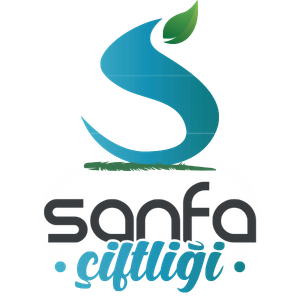 Firma Logosu